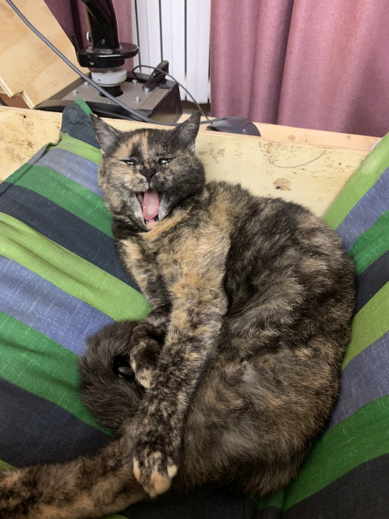 Buchenau_2023 (136).JPG